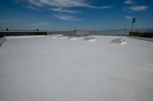 Best Rubber Roofing (EPDM, TPO)  in San Juan Pistrano, CA